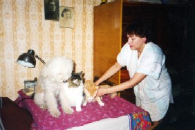 My pets and resting in peace wife